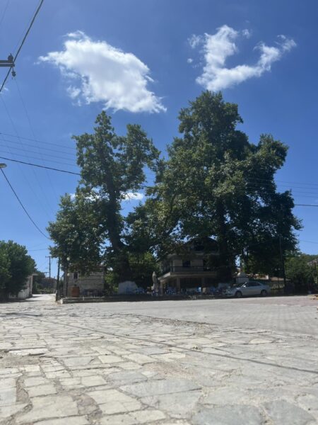 Read more about the article Διαγωνισμός φωτογραφίας για νέους